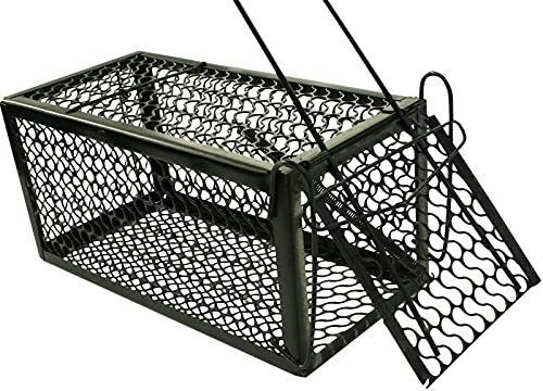 Rammento 24cm Humane Rat Trap, Black | Metal Spring Loaded Bait Box for Rodents | Live Rodent Cage Trap, Vermin Trap | Mouse & Rat Bait Station