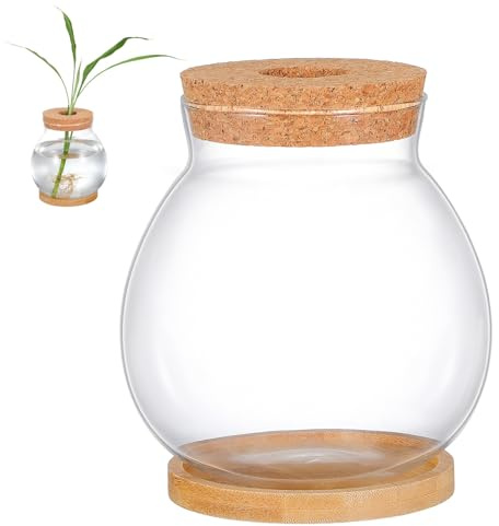 ULTECHNOVO Bocal à Poissons et Culture Hydroponique avec Couvercle en Bambou en Verre Transparent Petit Aquarium Décoration Unique pour Poissons Betta pour Maison et Étagère