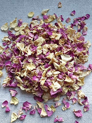 Fun Floral Fusions Confeti Biodegradable Floral Fusion 1 Litro 10-12 Invitados Confeti De Boda Pétalos De Flores Secas Pétalos Reales Color Rosa Marfil
