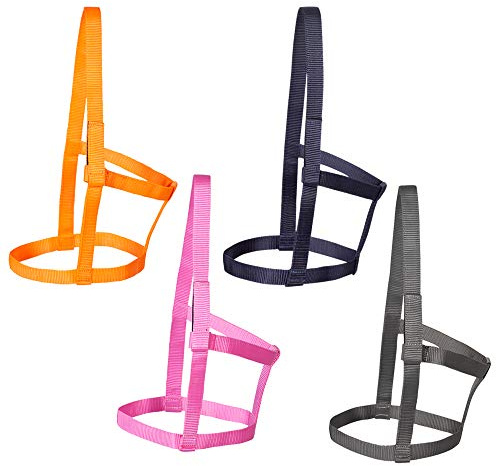 PFIFF 102920 Grimma joky, utan beslag, endast paddock, vit, rosa, Shetty