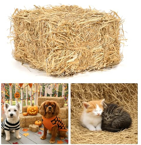 Decorative Straw Bale, 7.9 x 7.9 x 7.5in, 1 LB Natural Wheat Straw for Fall
