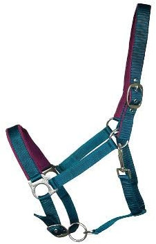 OR S-LINE Halfter Soft-Basic weich unterlegtes Weidenhalfter für Pferde verstellbar, Cob, Pony verfügbar (Petrol, Cob)