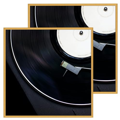 Golden State Art, Aluminum Album Frames Display 12.5x12.5 Vinyl Record, Brushed Metal Finish Records Frame for Wall, Acrylic Glass, for 12'' Album cover (2 Pack Bronze)