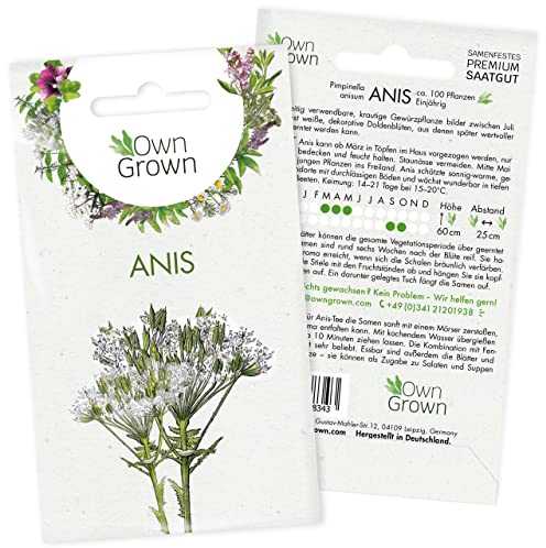 Anis Samen: Premium Anis Saatgut für die Anzucht von 100 aromatischen Anis Pflanzen – Tee Pflanze Kräuter Samen für Kräutertee – Kräutersamen für die Anis Tee Pflanze, Samen Kräuter – OwnGrown Kräuter