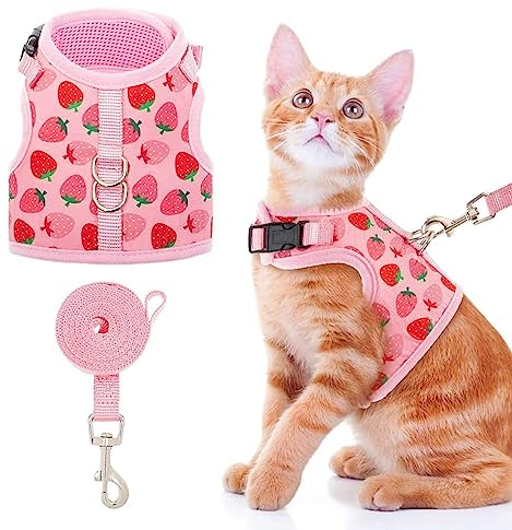 BINPET Katzengeschirr mit Leine, Verstellbar & Ausbruchsicher, Atmungsaktiv, Streifen Design, Katzen Geschirr für sicheren Halt & Komfort, Ideal für Spaziergänge und Kontrolle