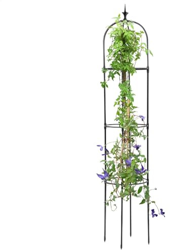 Obelisco da giardino | Obelisco in metallo per piante rampicanti - di supporto per giardinaggio resistente, supporto antiruggine per rose da esterno per piante rampicanti in vaso