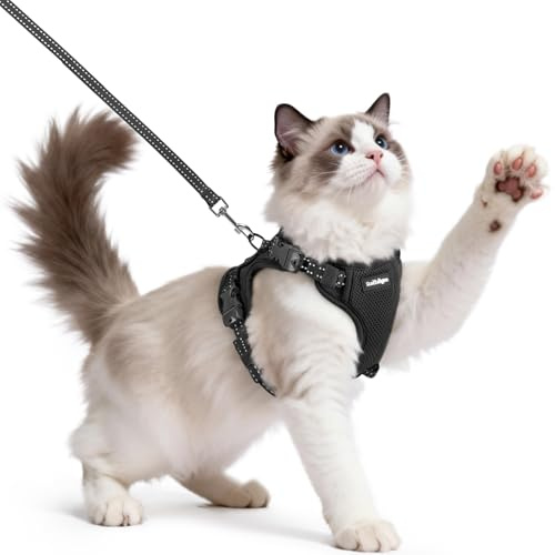 rabbitgoo Cat Harness and Leash, Escape Proof Vest with 3 Adjustable Buckles, Medium, Black