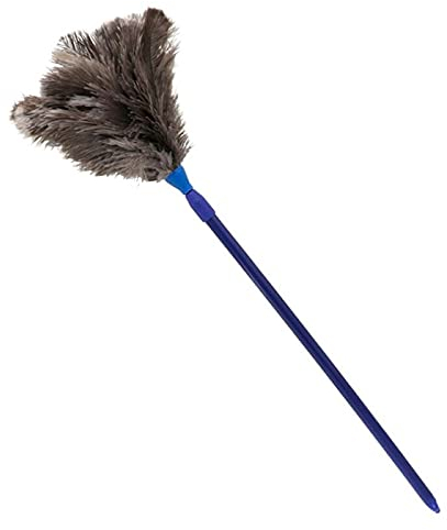 Acan Tradineur - Plumero de Avestruz con Mango de plástico Extensible de 58 a 102 cm, Plumas Suaves, Lavable, Polvo, Telas de araña, Limpieza, hogar, Oficina