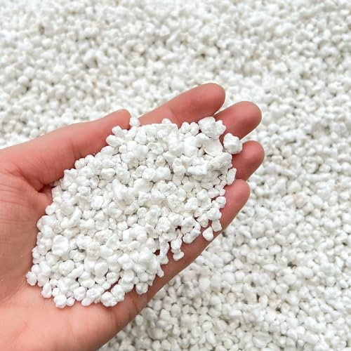 Premium Horticultural Perlite – Fresh-Packed Heat-Sealed Bag (3–5mm Grade) | Volume-Measured | Ideal for Houseplants, Propagation & Drainage | (2L)