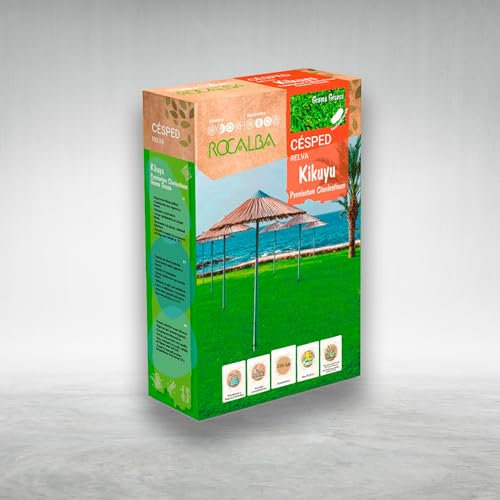 Césped Kikuyu - Grama Gruesa Muy Resistente - Rendimiento para 15 m2 - Caja de 100 GR - Muy bajo mantenimiento y resistente a sequía y salinidad - Rocalba Semillas