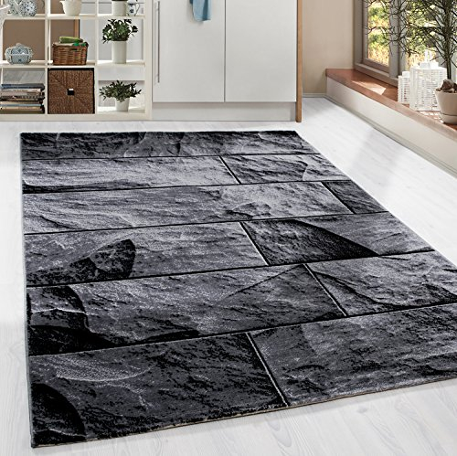 HomebyHome Teppich Wohnzimmer 200x290 cm Rechteckig Schwarz Kurzflor Wand Design Küchenteppich - Teppich Schlafzimmer, Esszimmer, Küche Flauschiger Extra Weich Tepich Waschbär Carpet Living Room