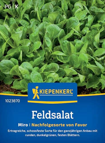 Kiepenkerl Feldsalatsamen Miro 1023870 - Schossfeste, ertragreiche Sorte für den ganzjährigen Anbau mit dunkelgrünen Blättern - Salatsamen, Saatgut, Schnittsalat