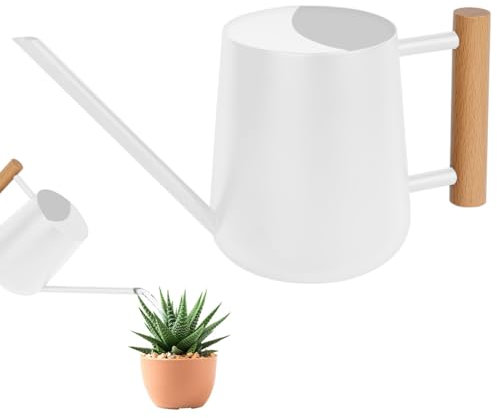 OFFCUP Gießkanne 35 oz/1 l mit langem Auslauf aus Edelstahl – Mini-Gießkanne für Innen- und Außenbereich, Sukkulenten, Blumen (weiß)