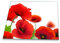 Herdabdeckplatte Abdeckung Ceranfeld Abdeckplatte Schneidebrett 1-Teilig 60x52 Mohnblume Rot Spritzschutz Glasplatte Ceranfeldabdeckung Schutz Kochplatten Herdschutz Sicherheitsglas Glasschneidebrett