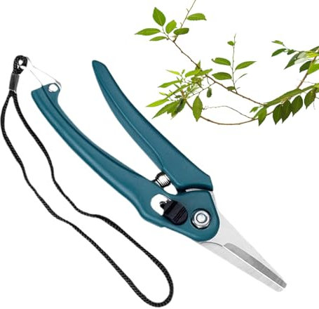 Cesoie da Giardinaggio - Forbici Manuali da Giardinaggio,Attrezzo Resistente Con Blocco Di Sicurezza Per Piante Bonsai Frutta Verdura Piccoli E Manutenzione Siepi E Arbusti