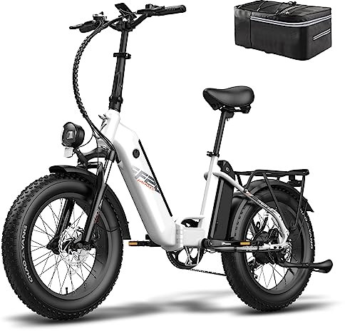 Fafrees FF20 Polar Damen E Bike klappbar 20 Zoll mit 48V 12Ah*2 Akku [ Offiziell ] Herren E-Bike Elektrofahrrad fette Reifen Klapprad 6km/h Gehhilfe, Mountainbike 65 N.m, Fatbike Elektro