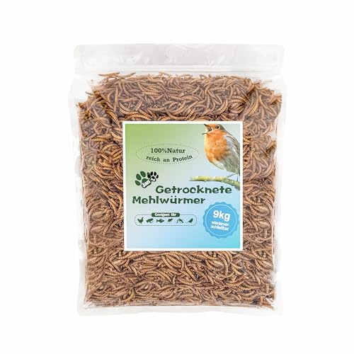 Getrocknete Mehlwürmer 60L (9kg) – Premium Insektensnack für Wildvögel, Igel, Fische & Reptilien – Hochwertiges Ganzjahresfutter mit hohem Proteingehalt für draußen – Blumixx Jan-Pet Premium