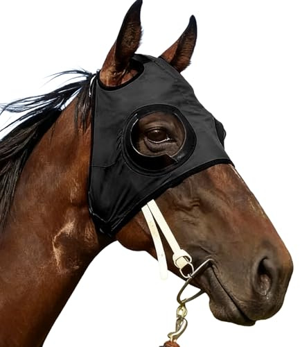 Cappuccio protettivo per gli occhi di cavallo, traspirante, a prova di sabbia, con paraocchi per gli occhi, per competizioni equestri, allenamento all'aperto, equitazione, sport equini
