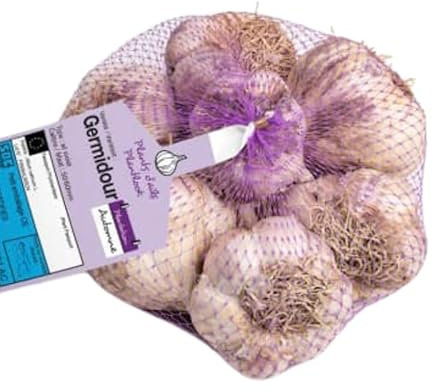 GERMIDOUR violet Ail a repiquer 500gr