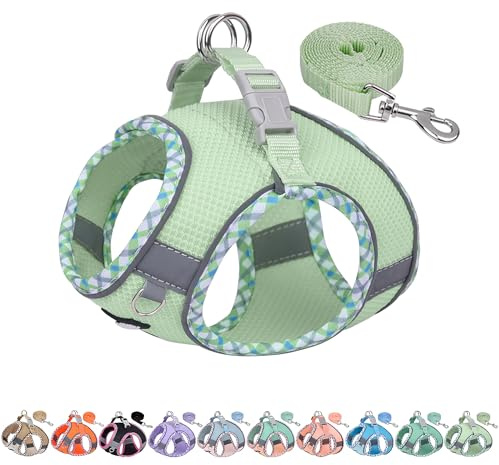 AIITLE Ensemble Harnais et Laisse pour Chien pour la Promenade, Harnais pour Chiot, Bandes réfléchissantes, pour très Petits Chiens et Chats domestiques Sage XXS