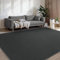 BEIMO Washable Rugs Living Room 120X160CM, Anthracite Area Rugs for Bedroom Non Sheeding, Large Anti Slip Low Pile Carpet Modern Fluffy Shaggy Rug for Dining Room, Kids Bedroom
