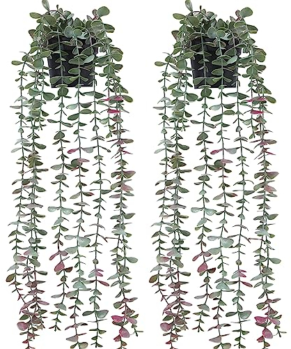 LUWENER 2 Stück Künstliche Pflanzen Hängend,Eukalyptus Blätter Faux Greenery Efeu Blätter Dekor,75cm Lang Plastik Hängepflanzen Rebe für Wand Balkon Dekor Hausgarten Indoor Outdoor Decor (Eucalyptus)