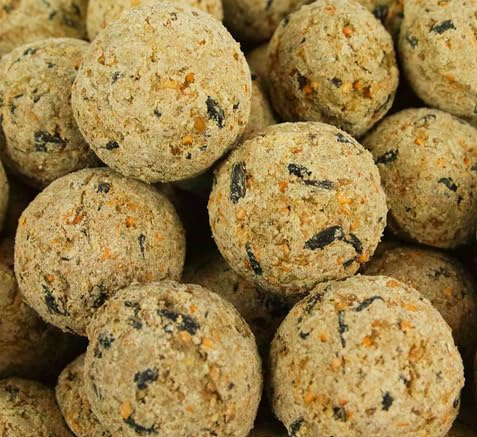 BusyBeaks Bolas de Grasa de Suet | Comida Premium para Aves Silvestres | Fórmula Mejorada Todo el Año | Mezcla Natural Alta en Energía y Rica en Proteínas | Llena de Grasa Nutritiva (Paquete 150)