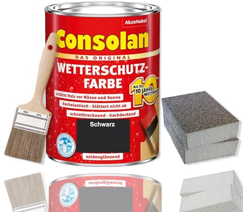 Consolan - Pintura protectora contra la intemperie (2,5 L), color negro
