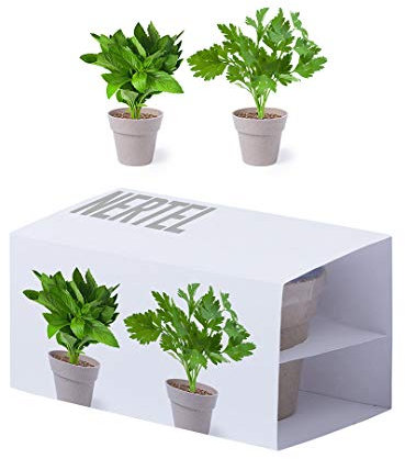 Set de 2 macetas con semillas de menta y perejil en macetero biodegradable. Con bolsita de sustrato de crecimiento. Kit cultivo Maceta Menta y Perejil
