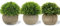 3 pcs Artificial Plant Small Decorative Plants in Pot, Mini Faux Plant Indoor, Lifelike Plastic Plant Potted for Home, Office, Desk, Kitchen, Bathroom, Desk and Table Decor