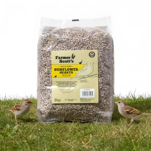 Farmer Scott’s Sunflower Hearts for Wild Birds 2KG – Husk Free High Energy Garden Bird Feed, No Mess Bird Food for Feeders, Tables & Ground Feeding, Suitable for Robins, Finches, Sparrows & Tits