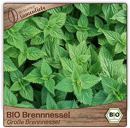 Samenliebe BIO Brennnessel Samen alte Sorte Große Brennnessel Wildkraut Gartenkraut 2500 Samen samenfestes Kräuter Saatgut für Küche indoor und Balkon Garten BIO Kräutersamen mehrjährig und winterhart