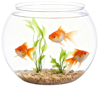 Boccia Di Pesce In Vetro – Mini Vaso A Bolle Trasparente ABS 2 Misure | Contenitore Per Piante Acquario | Decorazione Casa Ufficio | Centrotavola Multifunzionale Compatto Durevole