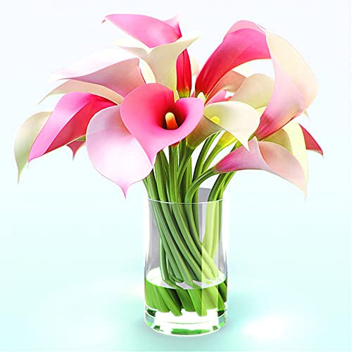 Calla Lily Bulbi Ornamenti Fioritura in Primavera Grande Decorazione Matrimonio Soggiorno Decorazione Balcone Decorazioni-10 Lampadine