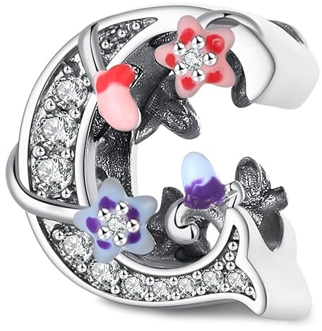 XWN Lettre Charme Perles de Alphabet A à Z en argent sterling 925 pour bracelet et collier Pandora Compatible avec bracelets européens pour femmes et filles