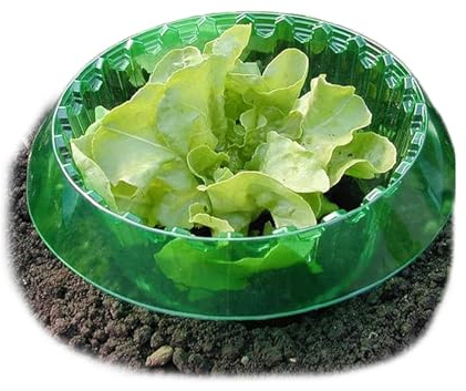 Collare per lumache, 24 anelli di protezione per lumache, efficace protezione per insalata e cavoli, collare per lumache in plastica robusta, repellente per piante da giardino