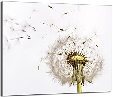 Herdabdeckplatte 60x52 Einteilig Glas Elektroherd Induktion Herdschutz Spritzschutz Glasplatte Deko Schneidebrett, Löwenzahn Weiß