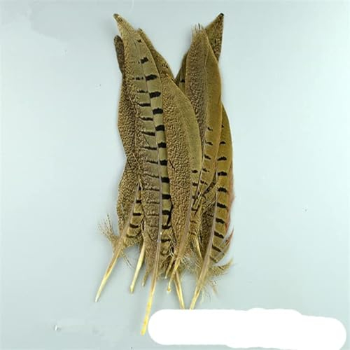 Natürliche Pfauenfedern, Fasanenfedern zum Basteln, Straußenfedern für die Schmuckherstellung, Karnevalsdekoration, 10–15 cm, 100 Stück