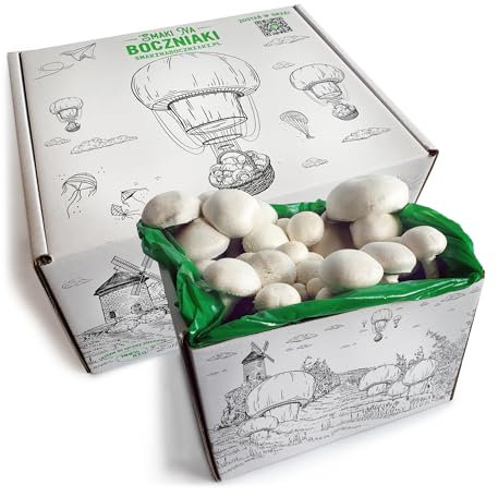 Pilzzuchtset für Zuhause – Komplettes Anzuchtset für braune Champignons – Champignonbox mit Substrat & Anleitung – Perfekt für Anfänger & Pilzliebhaber (White)