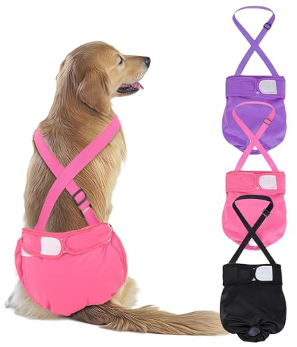 AMFUN 3 Pezzi Pannolini per Cani Cane Femmina Lavabili, Pannolini Cane Femmina Regolabile e Cinghie, Mutande Igieniche Animali Lavabili, Riutilizzabili, Altamente Assorbenti (XL)