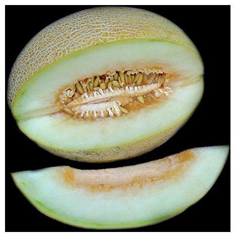 Melon ananas - 10 graines