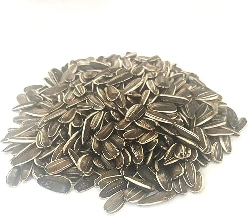 1.5kg SMALL SUNFLOWER SEED MIXED CAGE BIRD FOOD XLDS