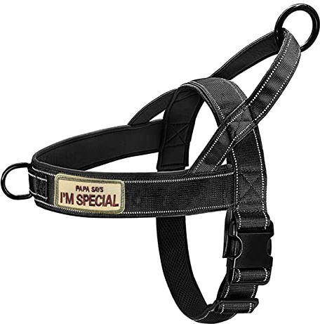 QIFBYFB Dog Harness, No Pull Reflective Adjustable Harness for Medium Large Dogs, Escape Proof, Lightweight, Breathable, Oxford Nylon, 360° Chest Strap, Back Control Handle, Black M