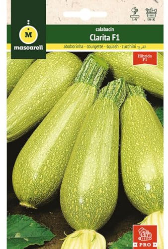 Mascarell Semillas, CALABACÍN, Semillas Huerto, CALABACÍN CLARITA F1, Crea tu Propio Huerto Urbano y Cultivo en Casa, Plantas Hortícolas, 3 Gramos