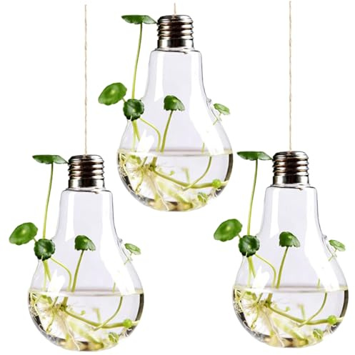 3 Set Vase Vase Decorative Petite Ampoule Forme en Verre Transparent Planteur Suspendu avec du Ficelle pour Maison intérieur, Plante de Suspension, Petite, homéliste