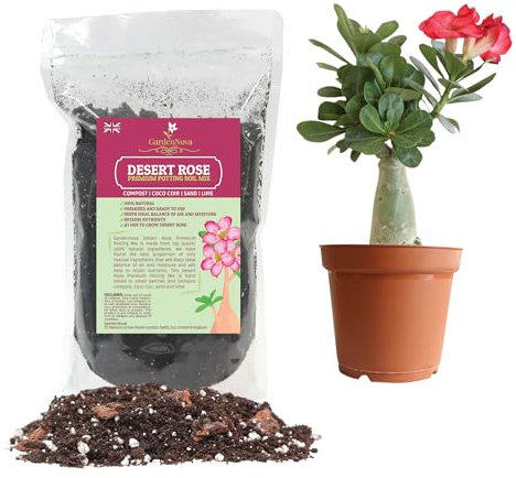 Premium Desert Rose Potting Soil - Optimal Blend for Thriving Adenium Plants - 1 LITER