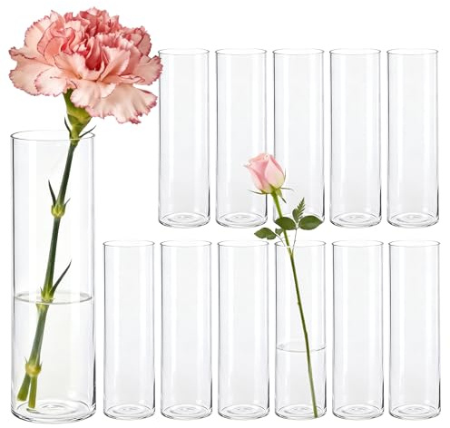 Rosen 12 stycken små glasvascylindrar för bordsdekoration | Minimalistisk cylinderdesign klar transparent glasoptik bra för olika blommor