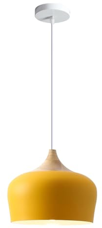 HUAYUSEDF Infälld taklampa, hänglampa i modern industriell stil, E26 ljuskälla med en enda huvud, restaurang Köksö Balkongdekoration Ljusarmaturer