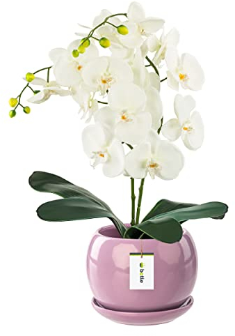 botle Blumentopf Blumenübertopf Rosa Kugel Blumenschale mit Untersetzer Rund BxH 170 mm x 160 mm Oberfläche Glanz Keramik Modern Glamour