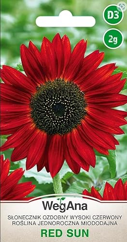WegAna Red Sun Tournesol Graines Grand Rouge 2g, Annuelle Plantes Fleurs d'été, Plantes de jardin Plantes de balcon, Fleurs Semences, Graines de fleurs, Aimant à abeilles